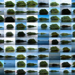 Every Being is an Island I