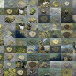 Every Being is an Island II