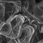 Dione glycera butterfly egg 