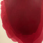 Cadmium and Carmine / Cadmio y Carmín II