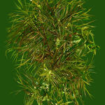   Landscape Crystallization Series II / De la Serie Cristalización del paisaje  II