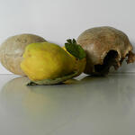 Strage life / La vida extraña