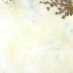 Monkey-Mono-MaLau 馬騮