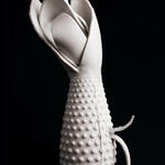 CAUSIS PLANTARUM PETAL