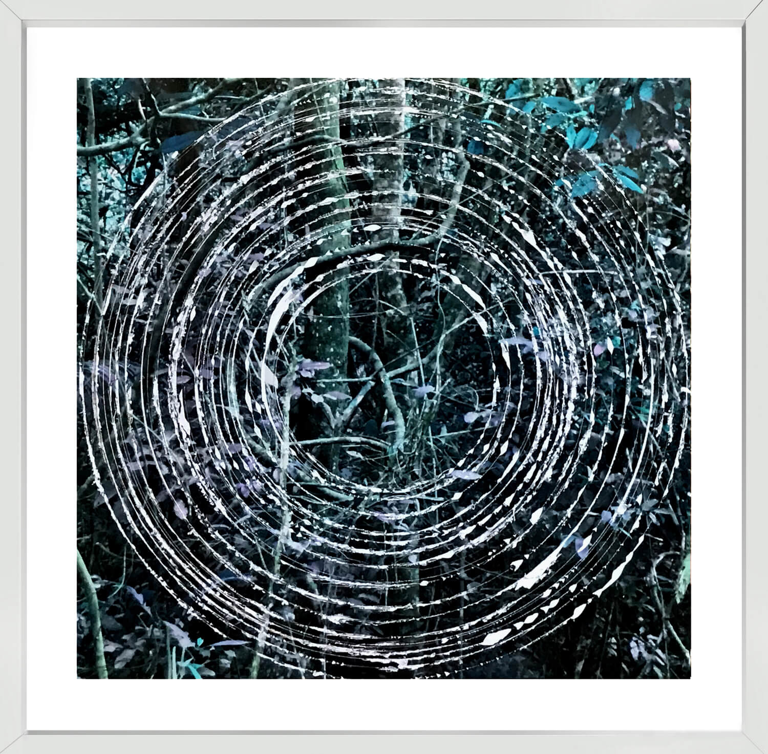 Delimitacion de campo (circulos)