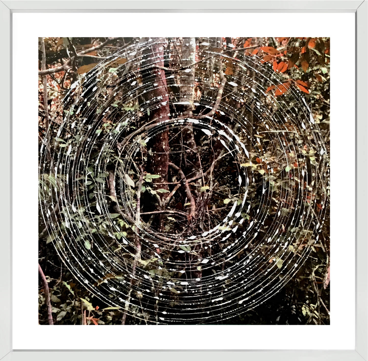 Delimitacion de campo (circulos)