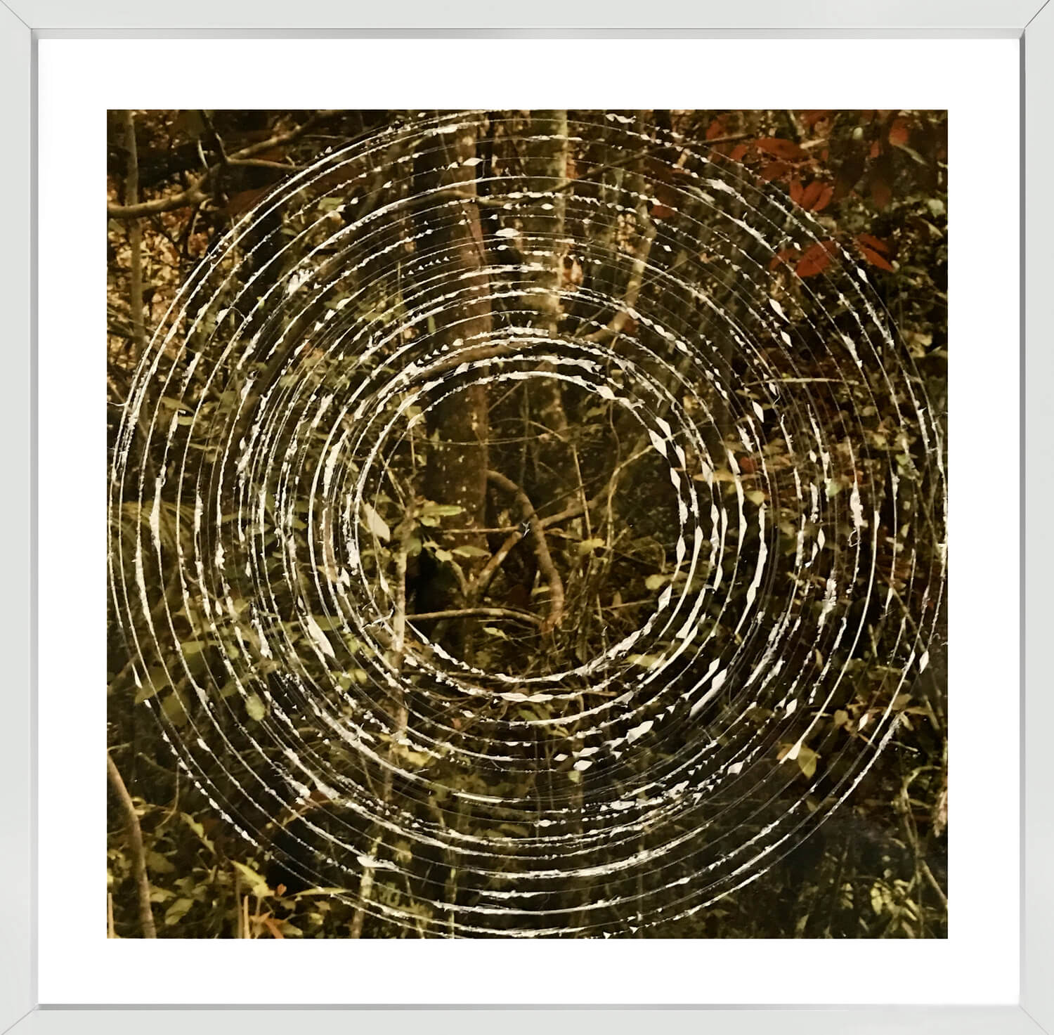 Delimitacion de campo (circulos)