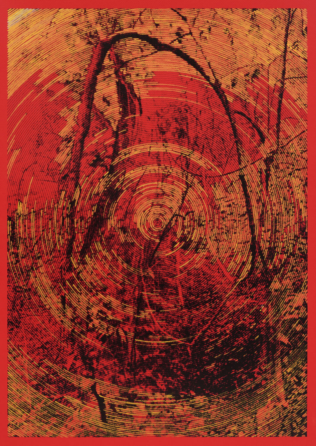 Delimitacion de campo