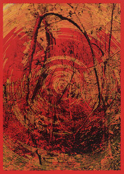 Delimitacion de campo