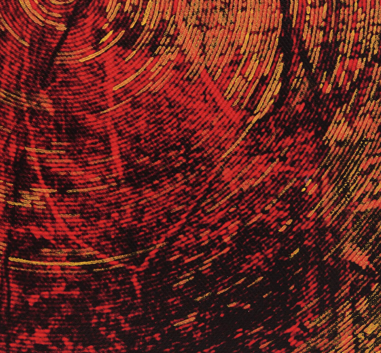 Delimitacion de campo