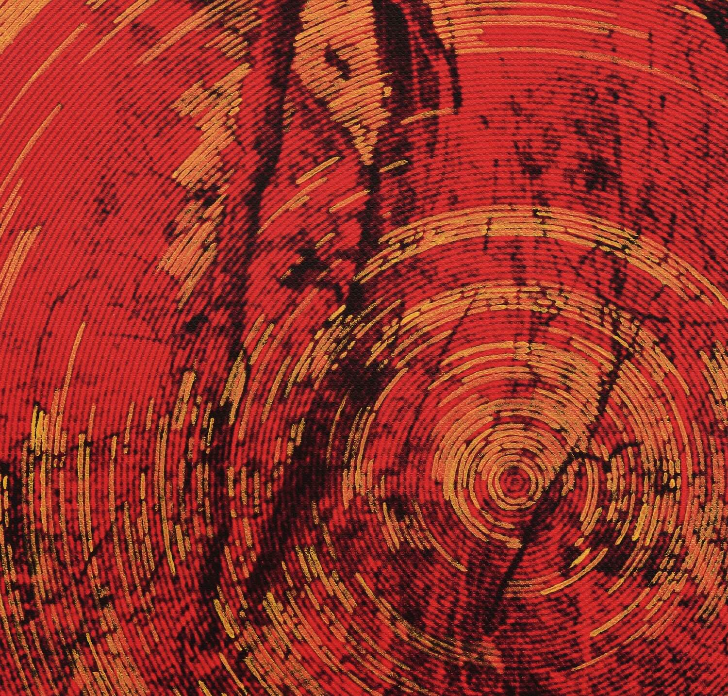 Delimitacion de campo