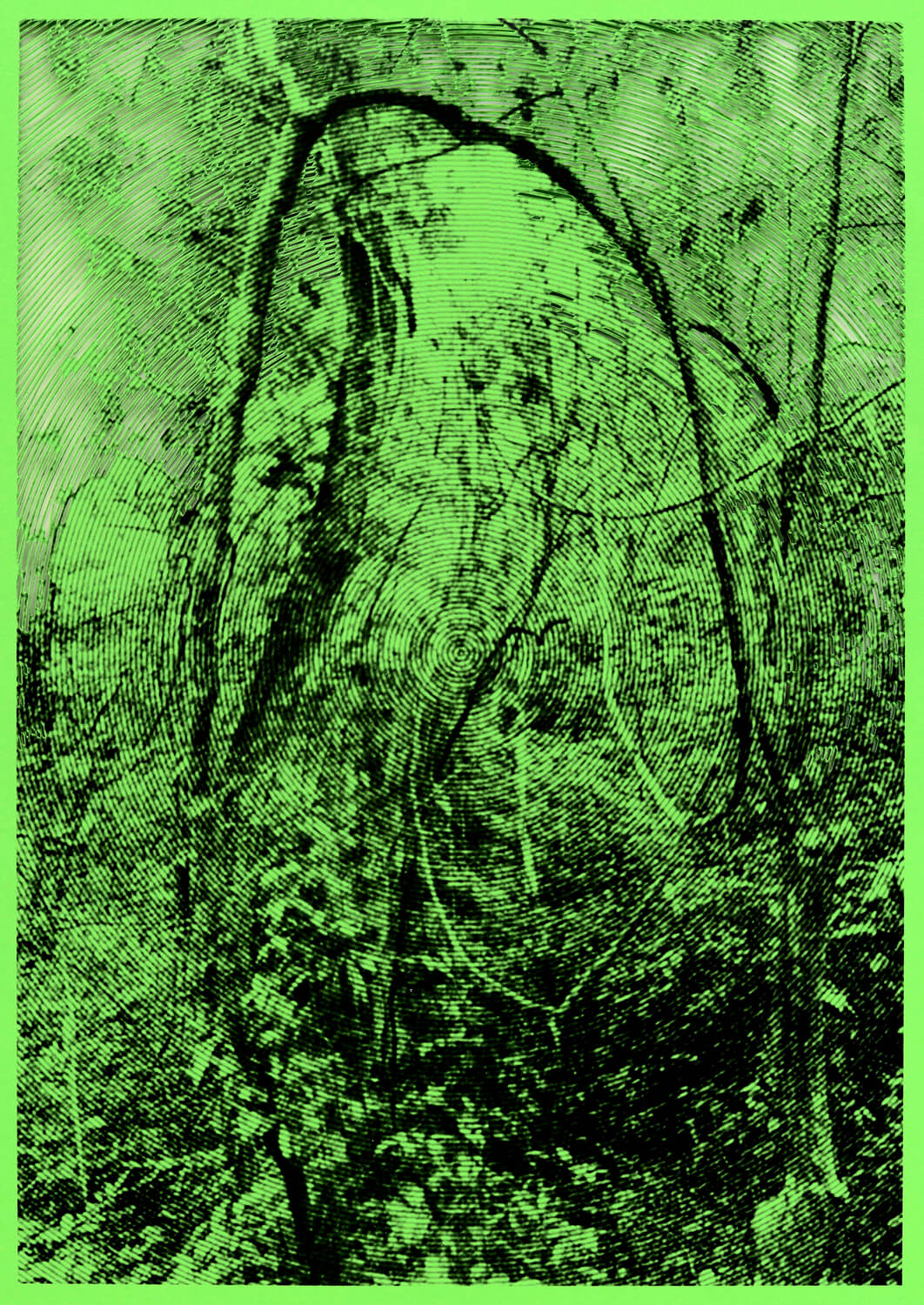 Delimitacion de campo