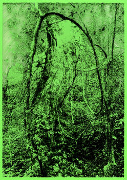 Delimitacion de campo