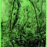 Delimitacion de campo