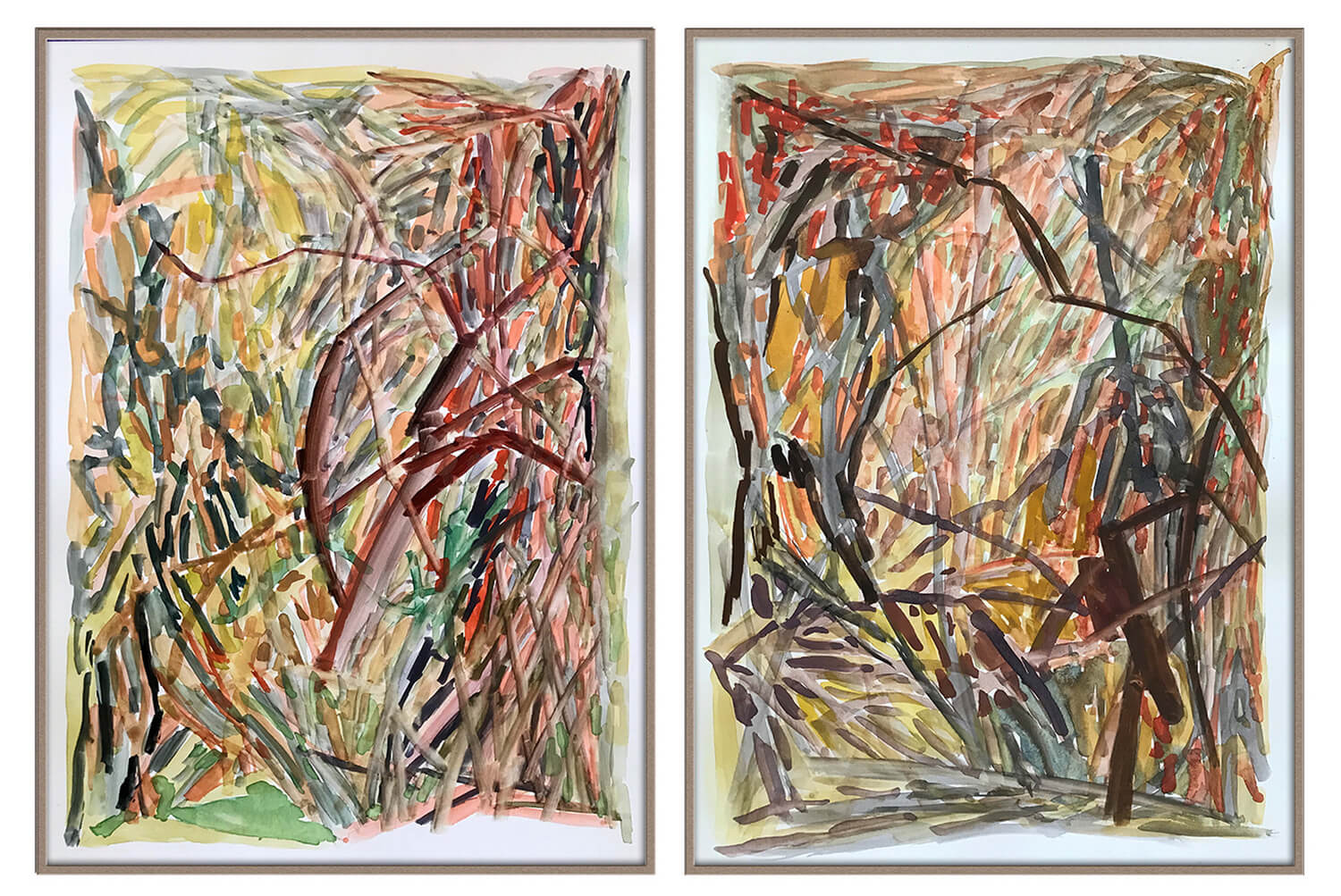 Exploracion de campo