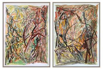 Exploracion de campo