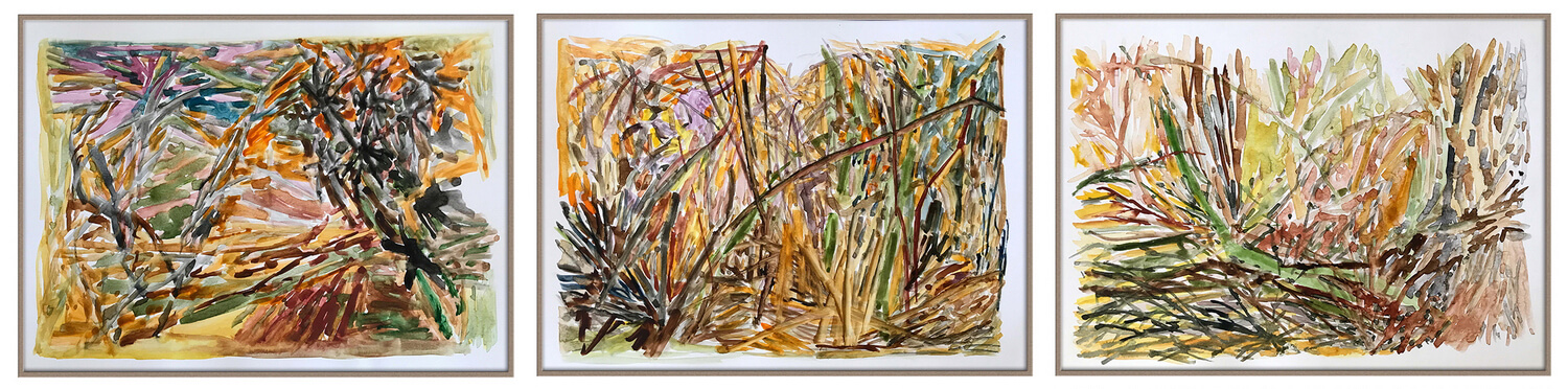 Exploracion de campo