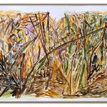 Exploracion de campo