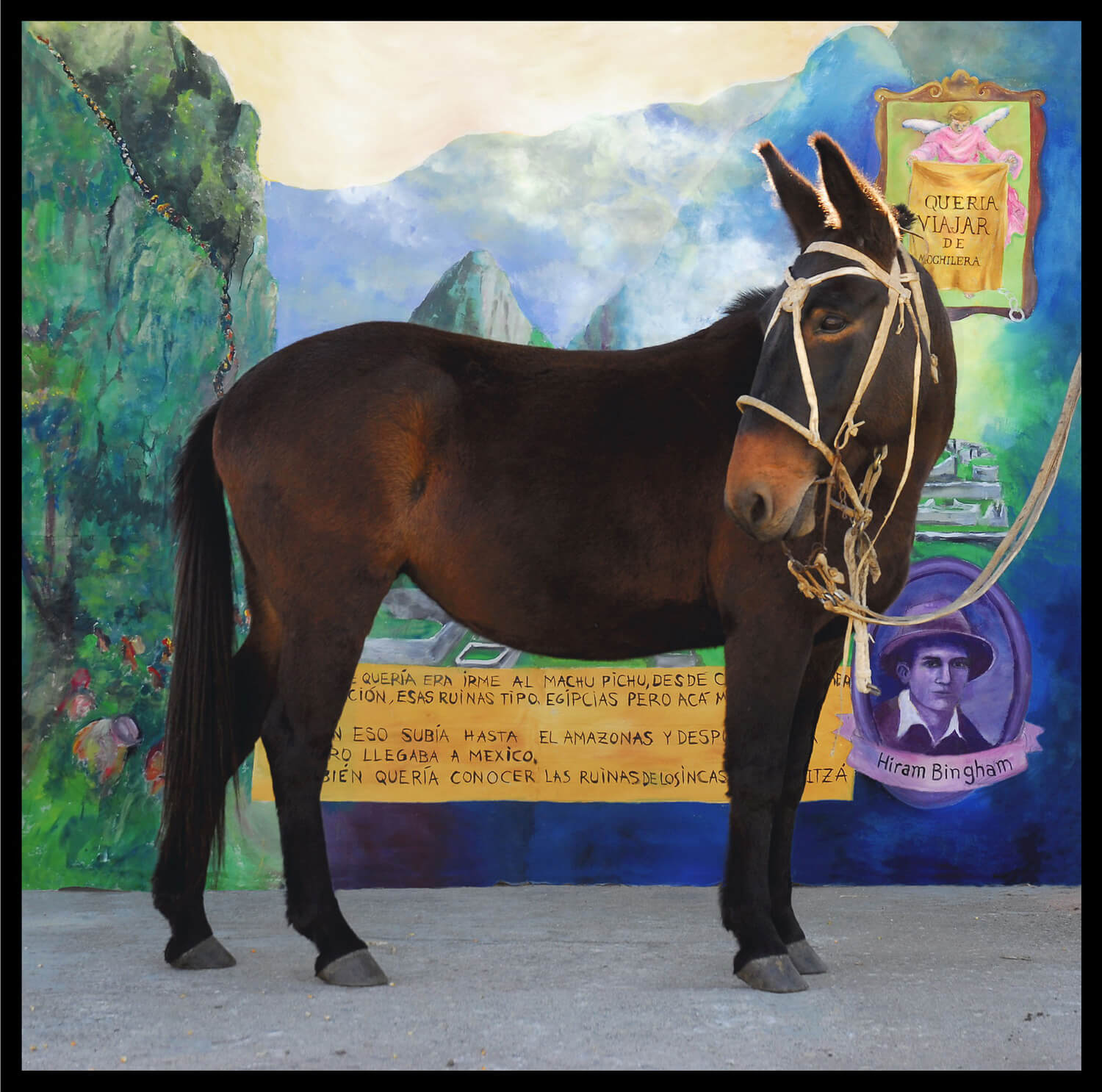 Fátima y su ilusión / Jackie y la Ilusión de Fátima