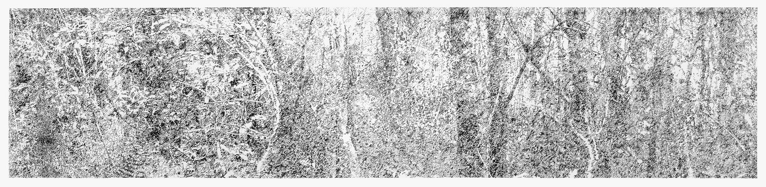 Reinscripción de un paisaje