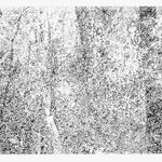 Reinscripción de un paisaje