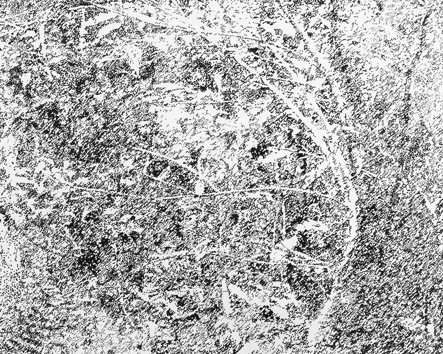 Reinscripción de un paisaje