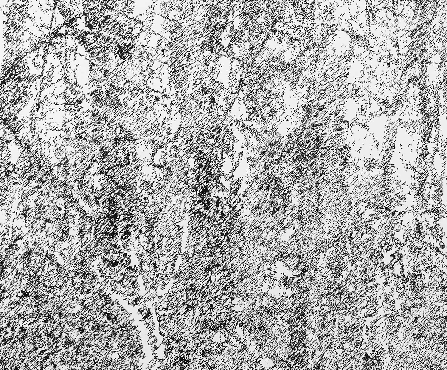 Reinscripción de un paisaje