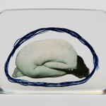 Nostalgia de la Certidumbre