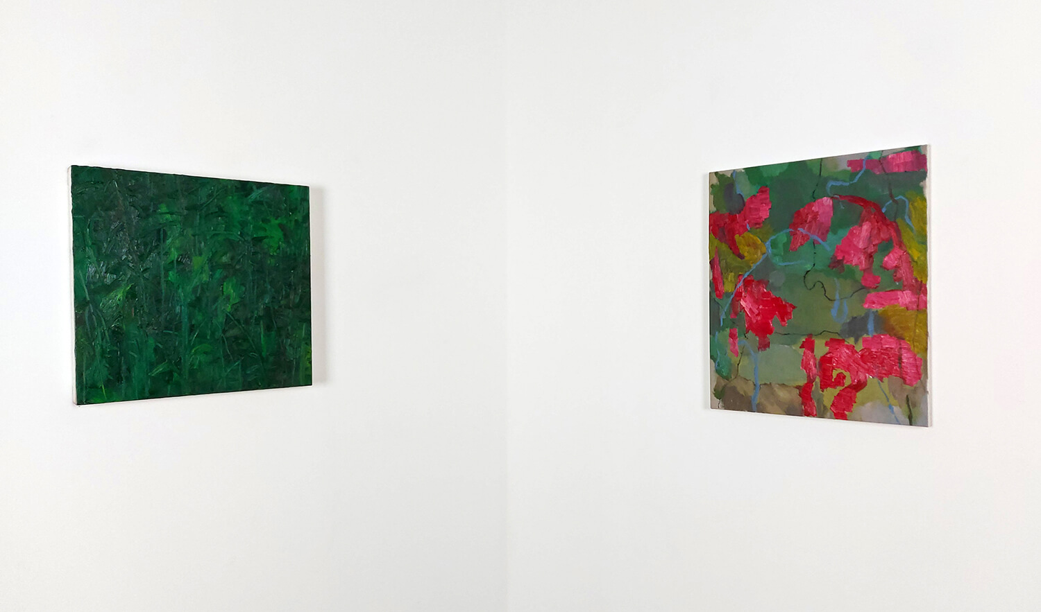 Carnívora / Carnivore 