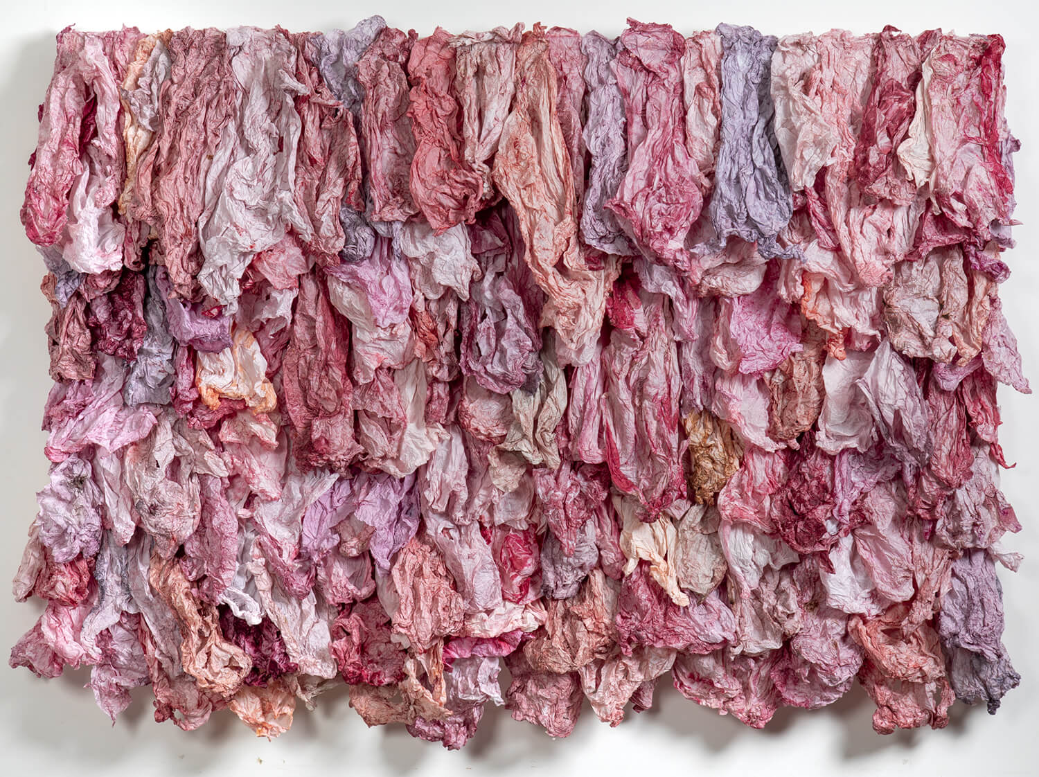 Fragmentos do Arquivo 1, Tahara / Fragments of Archive  1, Tahara