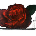 Desplazamiento No 214