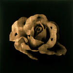 MURMURAN LOS RECUERDOS