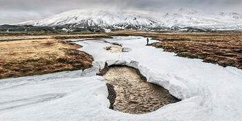 Vulnerable Inheritance XIX