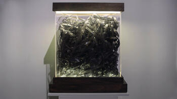 800 metros de olvido 