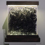 800 metros de olvido 