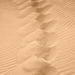 Within the Times of Sand IV