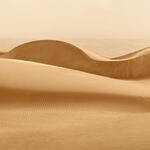 Within the Times of Sand VI