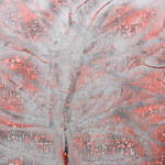 Spectral emergency IV