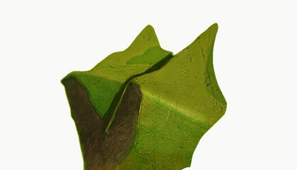 Cespedón No.1 ( proyecto: content vs.container) Artista: Nicolas Cárdenas Técnica: escultura en bronce Año: 2019 Dimensiones: 40x30x60 cm