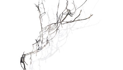 Fabiana Imola Untitled, 2012. Stainless steel (AISI430) mirrored 2.5mm thick with laser cutting. 55.11 x 24 inches. Edición 1/3.