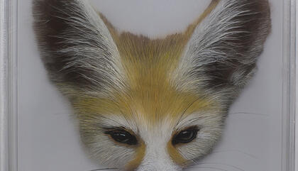 Yosman Botero TAXONOMY 63, Zorro desierto, 2019. Acrylic paint on acrylic. 12.79 x 12.2 x 3.54 inches