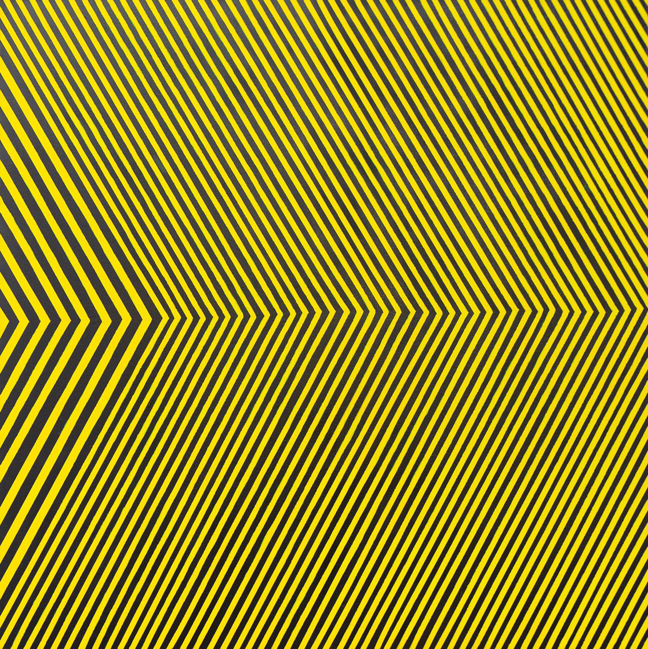 Opticom Amarillo y Negro