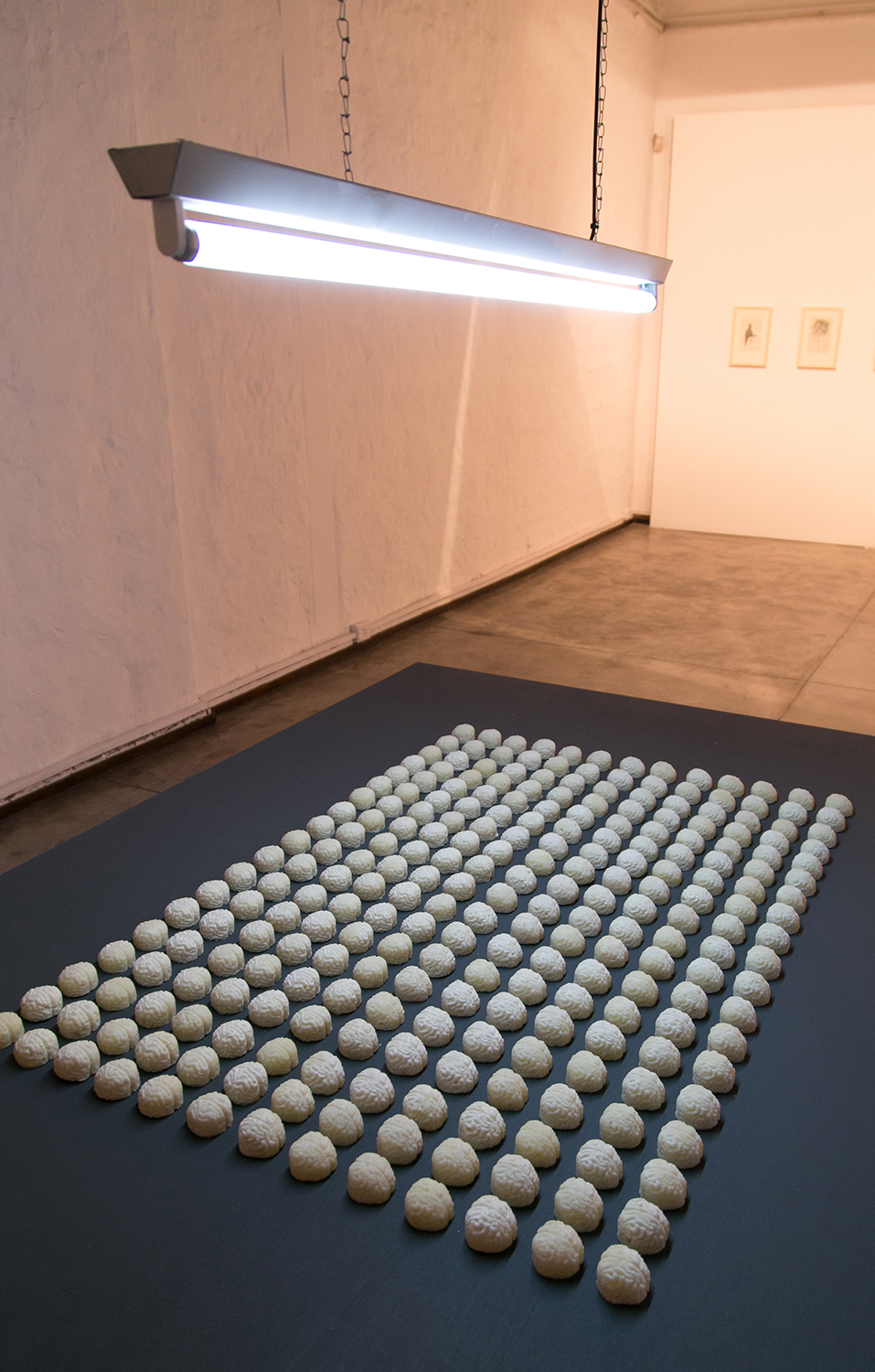 Hijos de la gallina negra