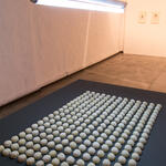 Hijos de la gallina negra