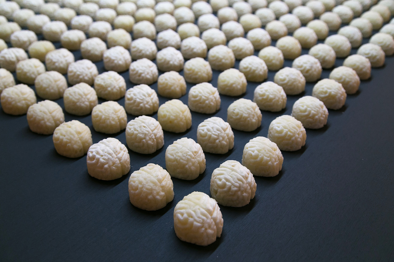 Hijos de la gallina negra