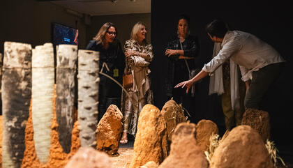 Arte Actual -Cuadernos de campo. Exposición de Fidel Fernández.