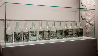 Site Specific de Marcos Benítez “Luciérnagas humanas al ras de la tierra".